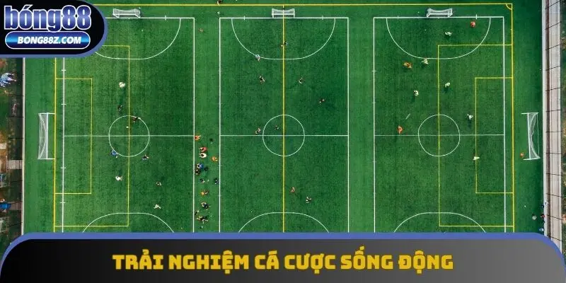 SBO Sport mang đến trải nghiệm cá cược sống động